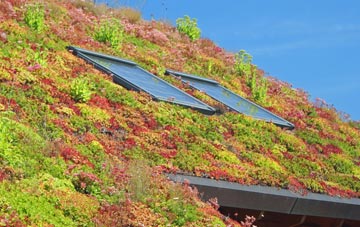 Cobscot living roof systems