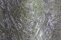 Cobscot fibreglass roof work